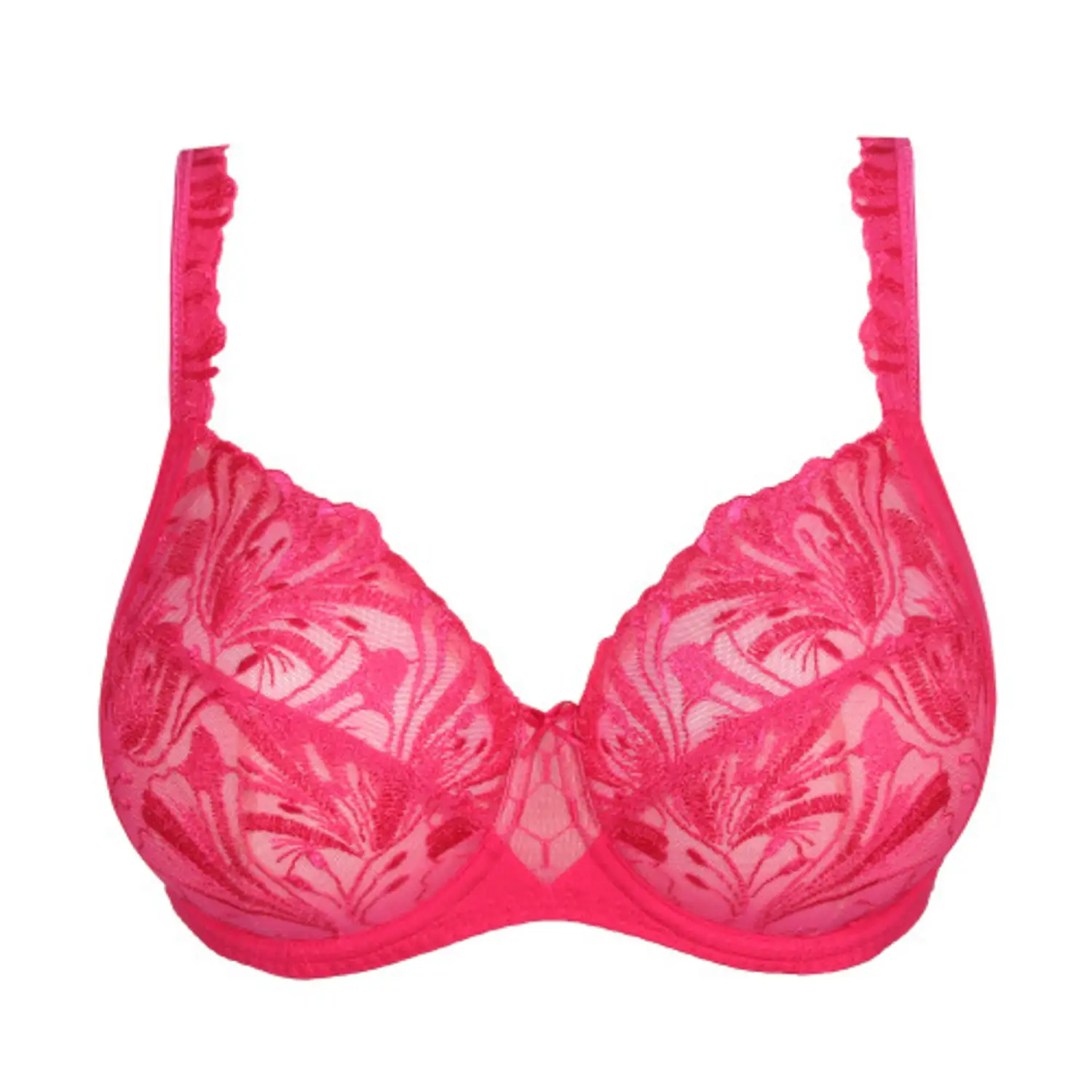 bh PrimaDonna Disah roze